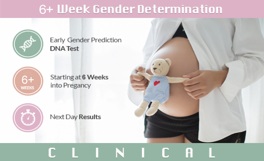 6+ week gender determination is best done in Mommy And Me 4D Ultrasound, the best gender ultrasound san diego.